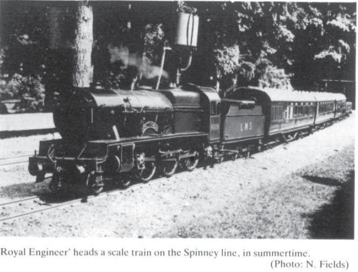 Black and white Scot at Bay Tree