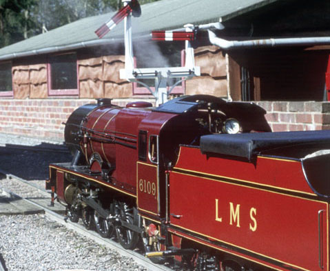 Early Scot at Bay Tree