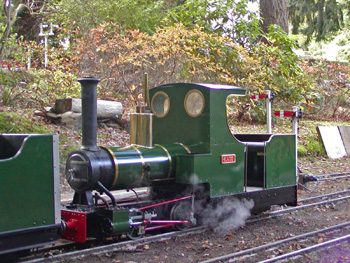 Next Year the sun will shine