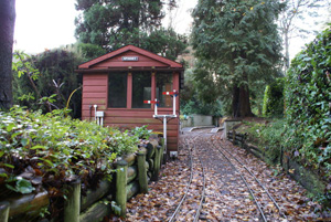Spinney Box looking towards the tunnels