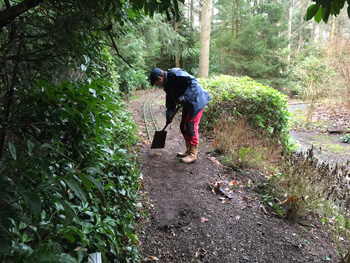 preparing the ground work
