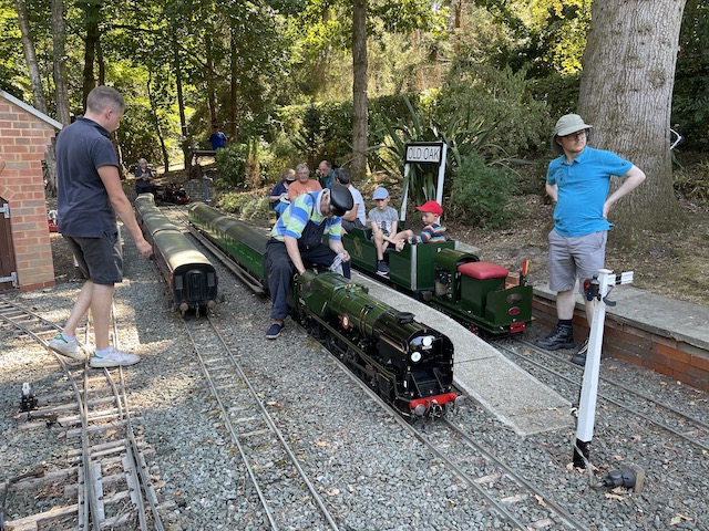 clanlinescampioldoak