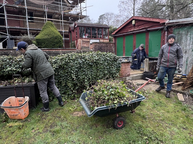 hedgetrim