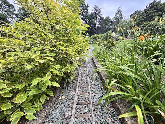 vegetation vegetation